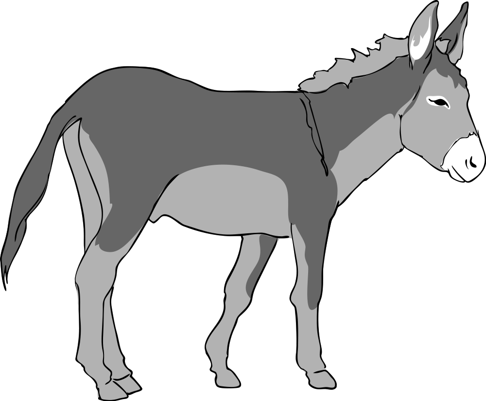 Donkey HD PNG - 118289