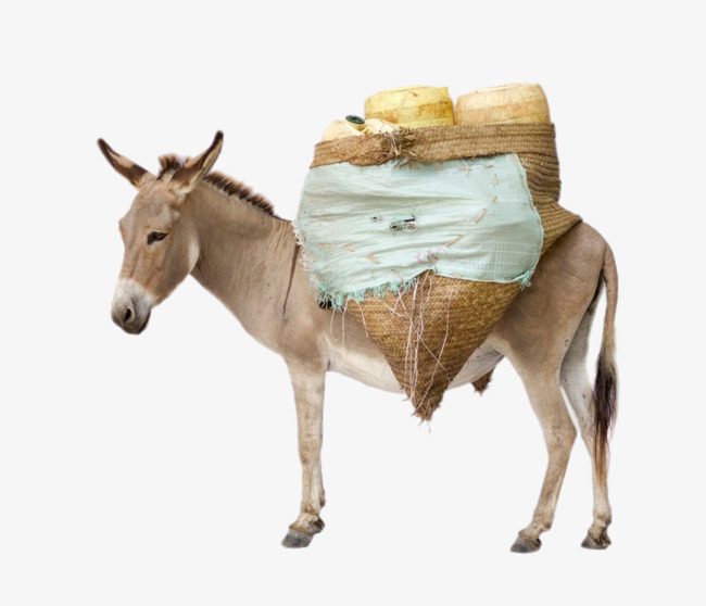 Donkey laden with goods, Anim