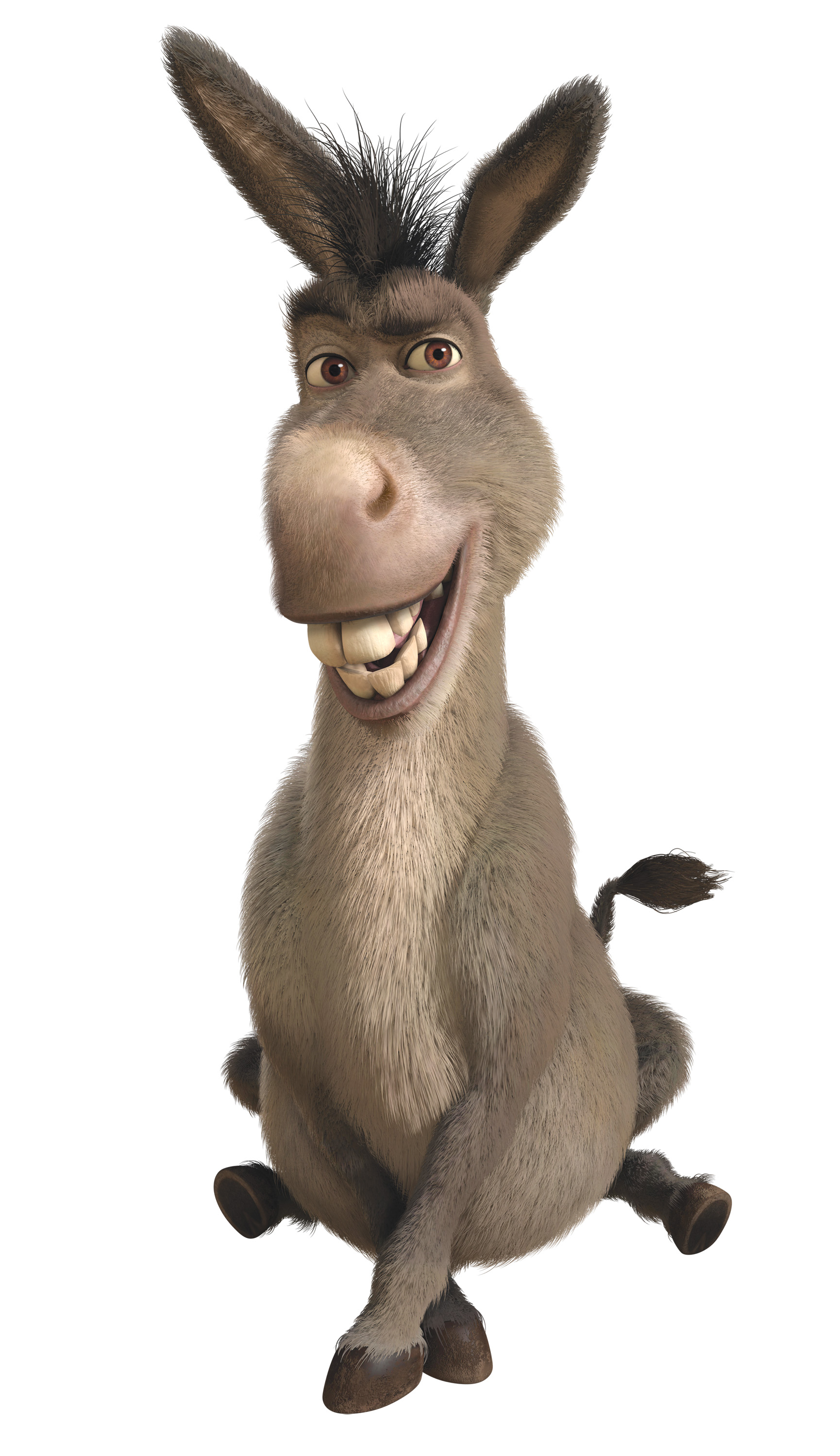 Donkey - Shrek Donkey PNG