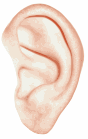 Ear PNG - 6710