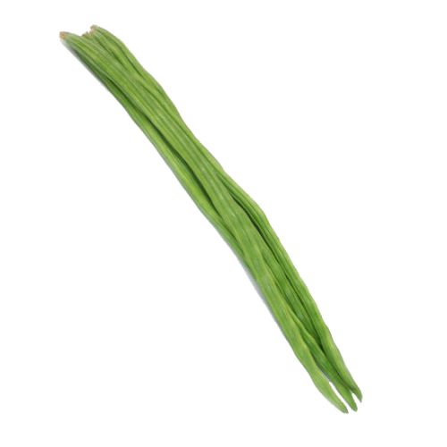 Drumstick HD PNG - 95829