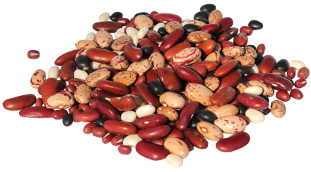 Dry Beans PNG - 161264