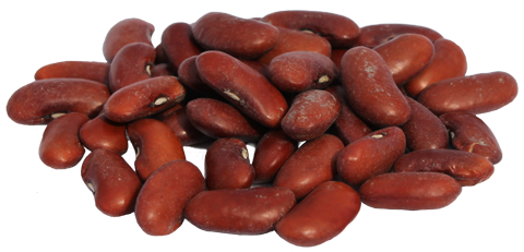Dry Beans PNG - 161266
