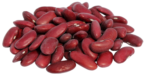 Dry Beans PNG - 161267