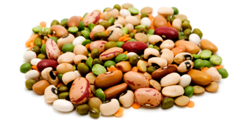 Dry Beans PNG - 161265