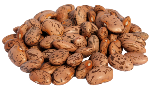 Dry Beans PNG - 161274