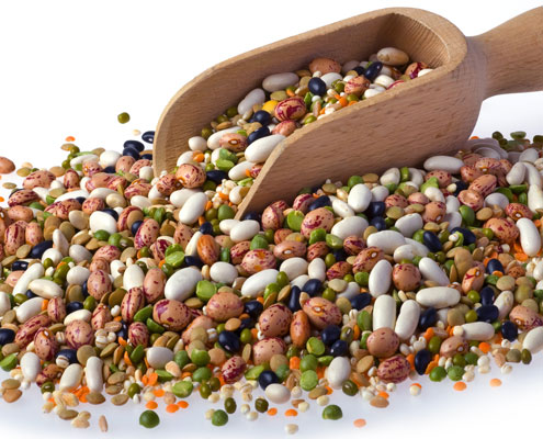 Dry Beans PNG - 161279
