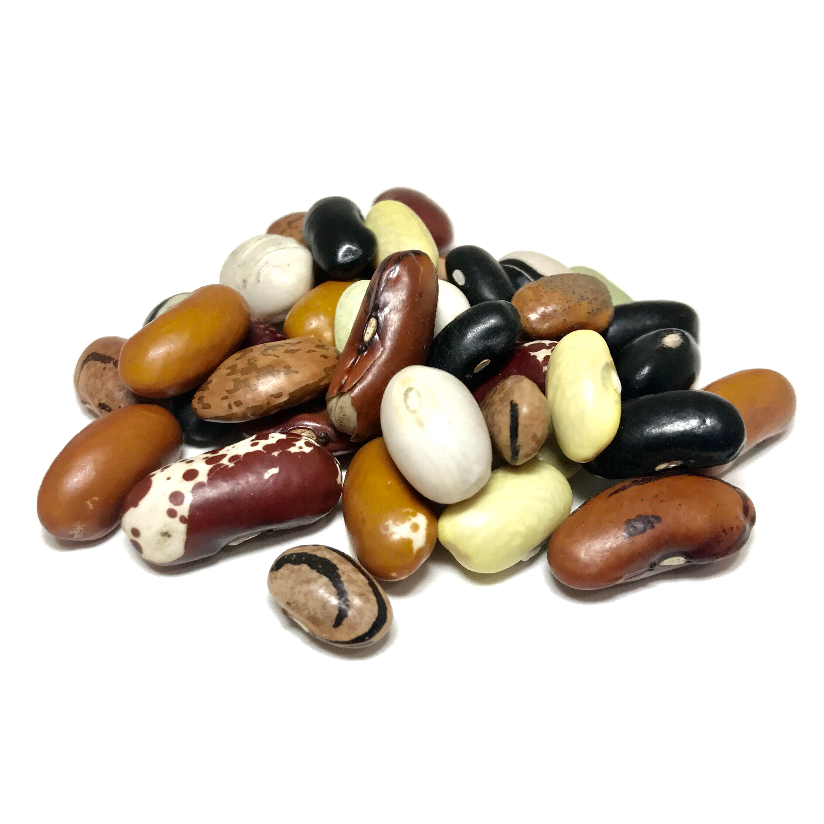 Dry Beans PNG - 161271