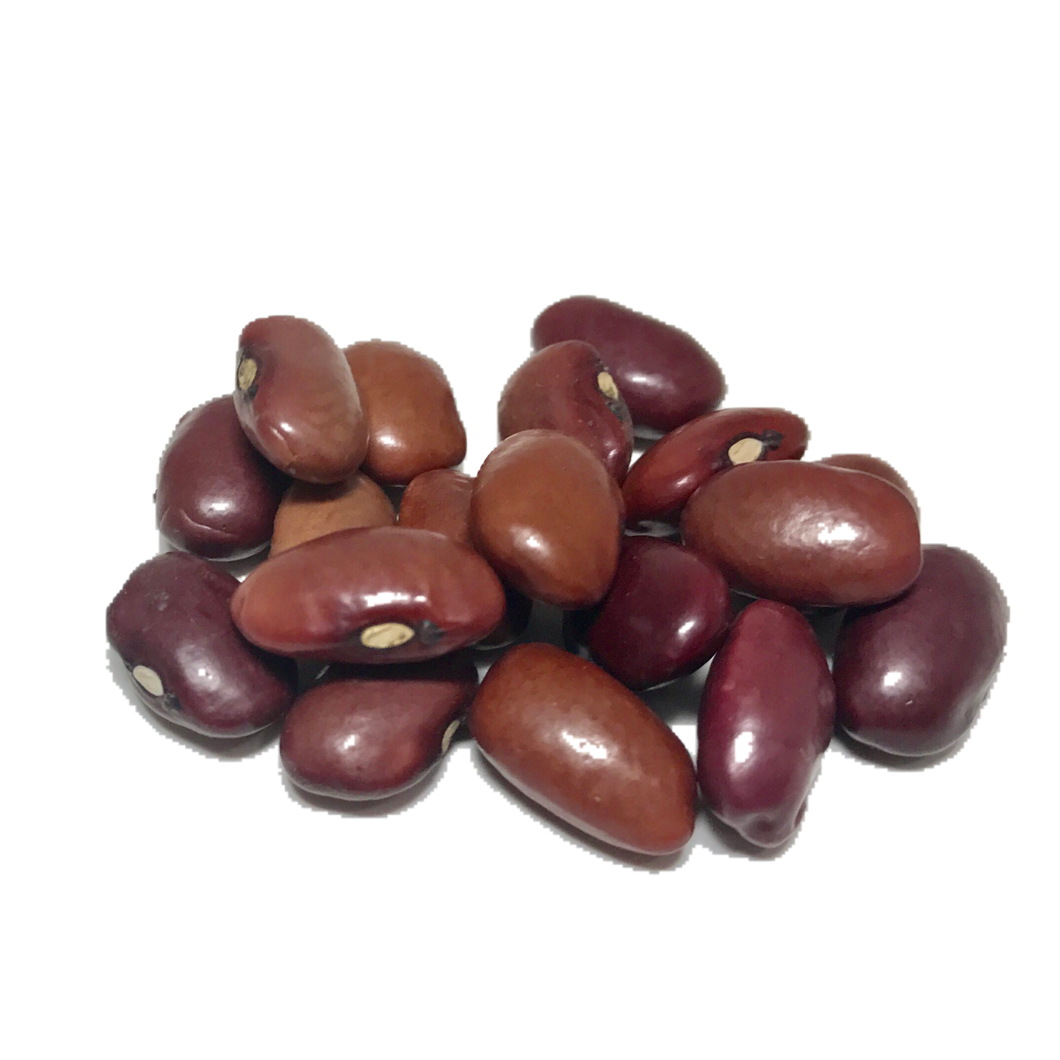 Pinto Beans, All Natural Grow