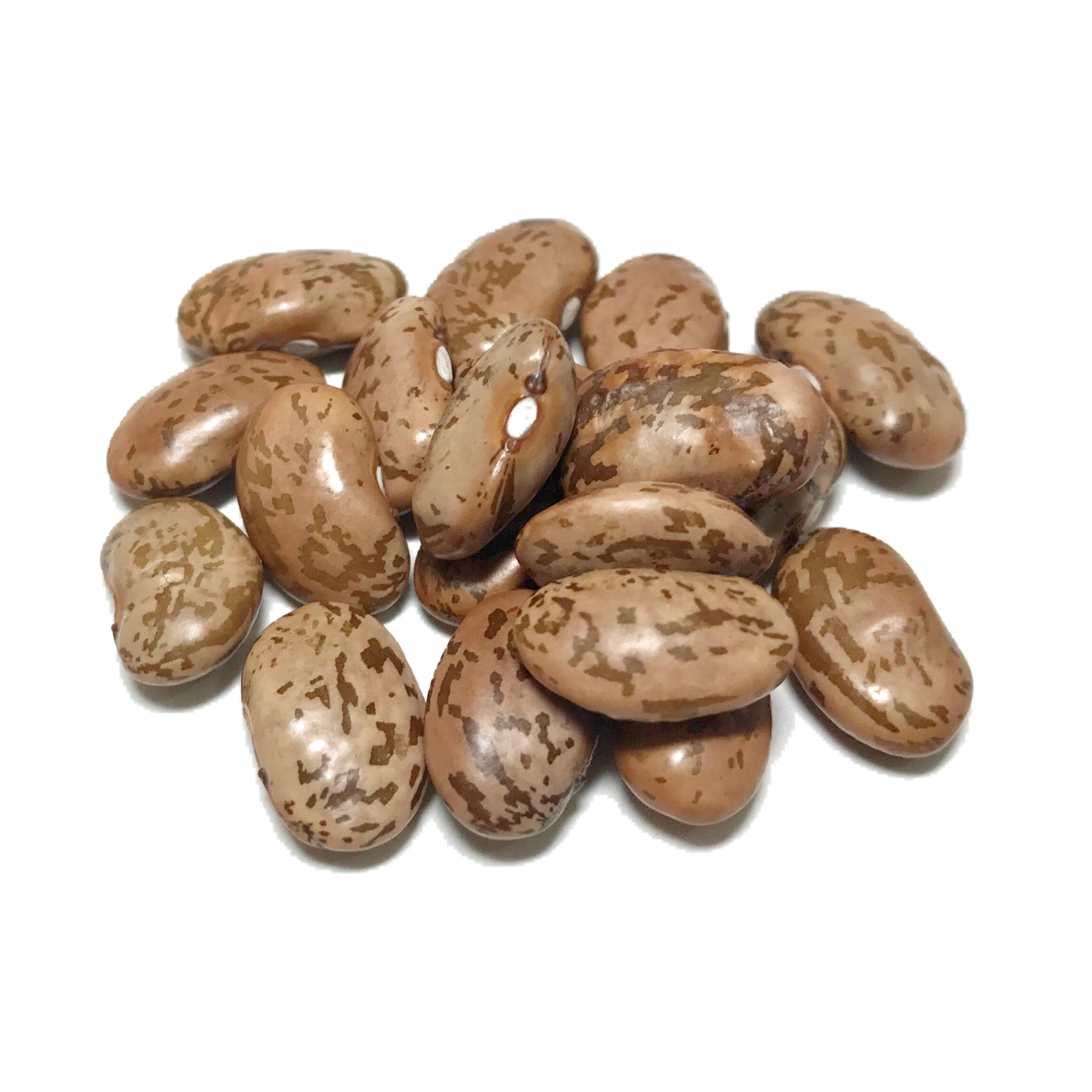 Dry Beans PNG - 161278