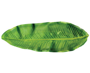 Jersey - Blätter - Palmenwed