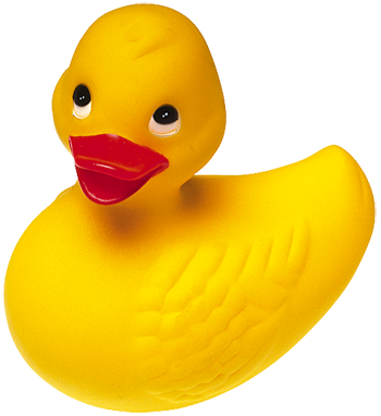 Duck PNG - 10123