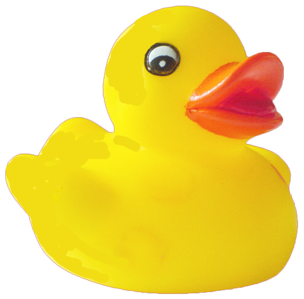 Duck PNG Pic