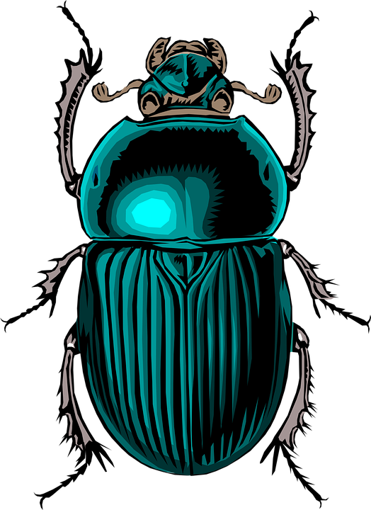 Dung Beetle PNG - 138088