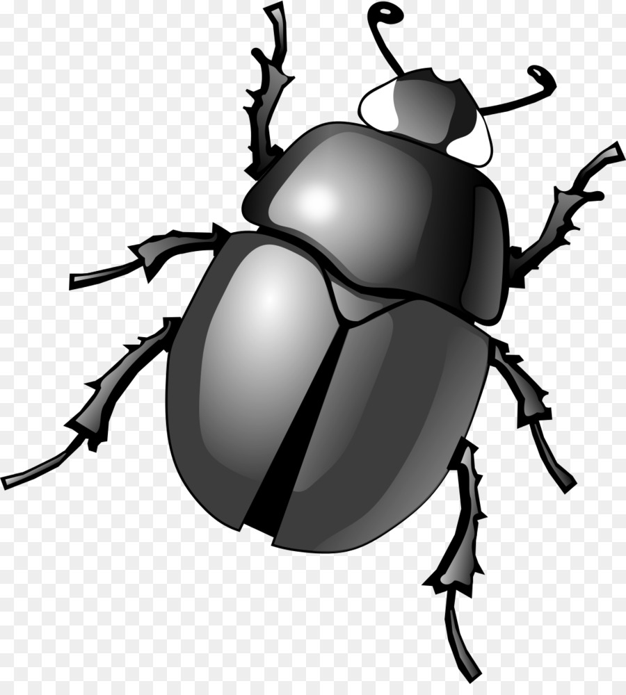 Dung Beetle PNG - 138082
