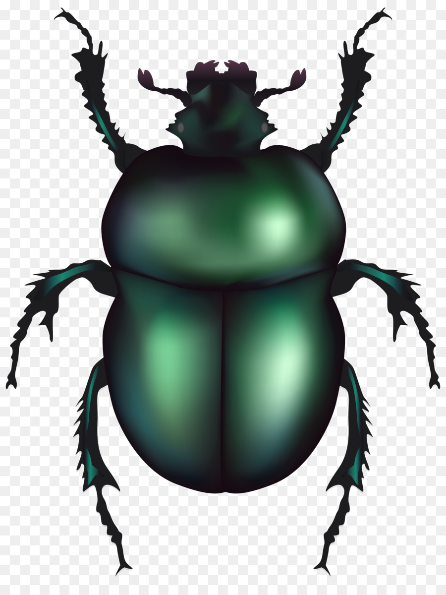 Dung Beetle PNG - 138081