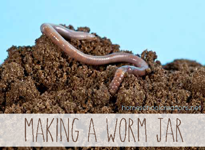 Earthworms In Soil PNG - 58321
