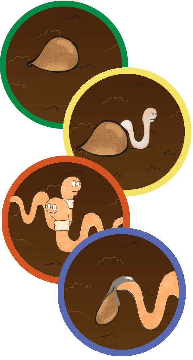Earthworms In Soil PNG - 58318