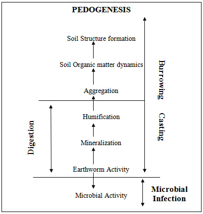 Earthworms In Soil PNG-PlusPN