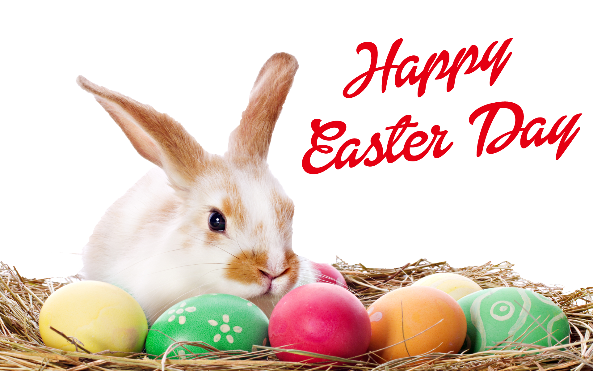 Easter Bunny With Eggs PNG - 152759