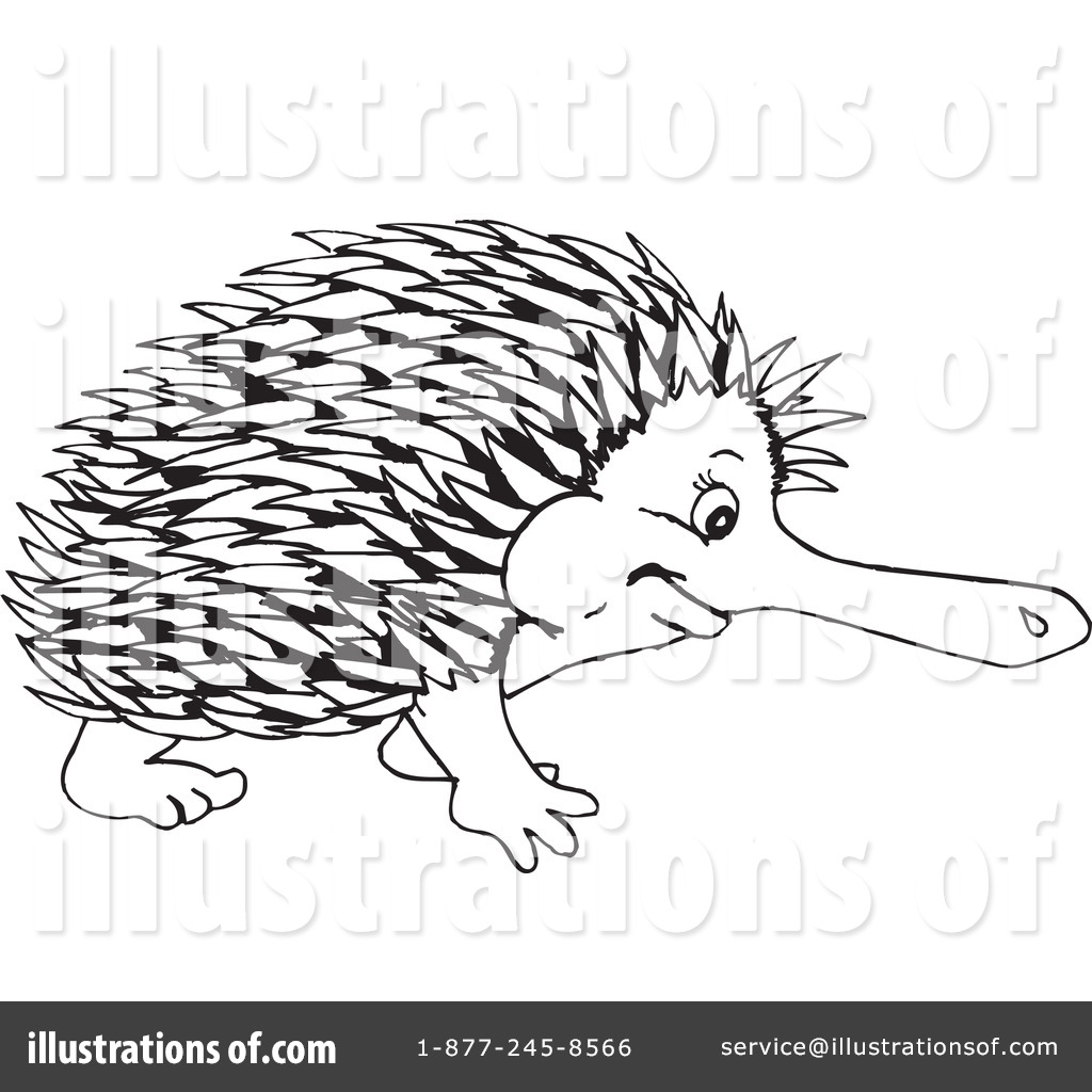 Echidna PNG Black And White-P
