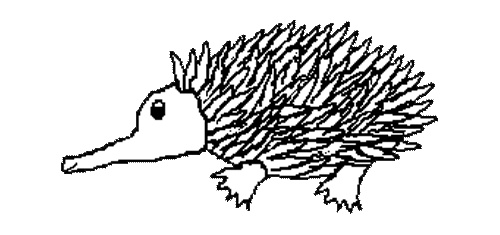 Echidna PNG Black And White - 83989