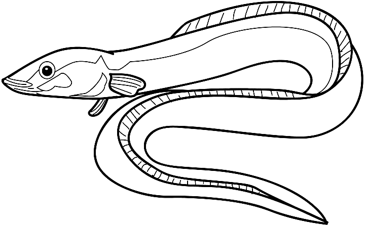 Eel clipart black and white