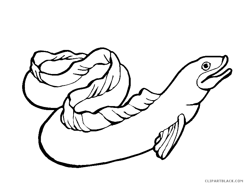 Eel PNG Black And White - 144804