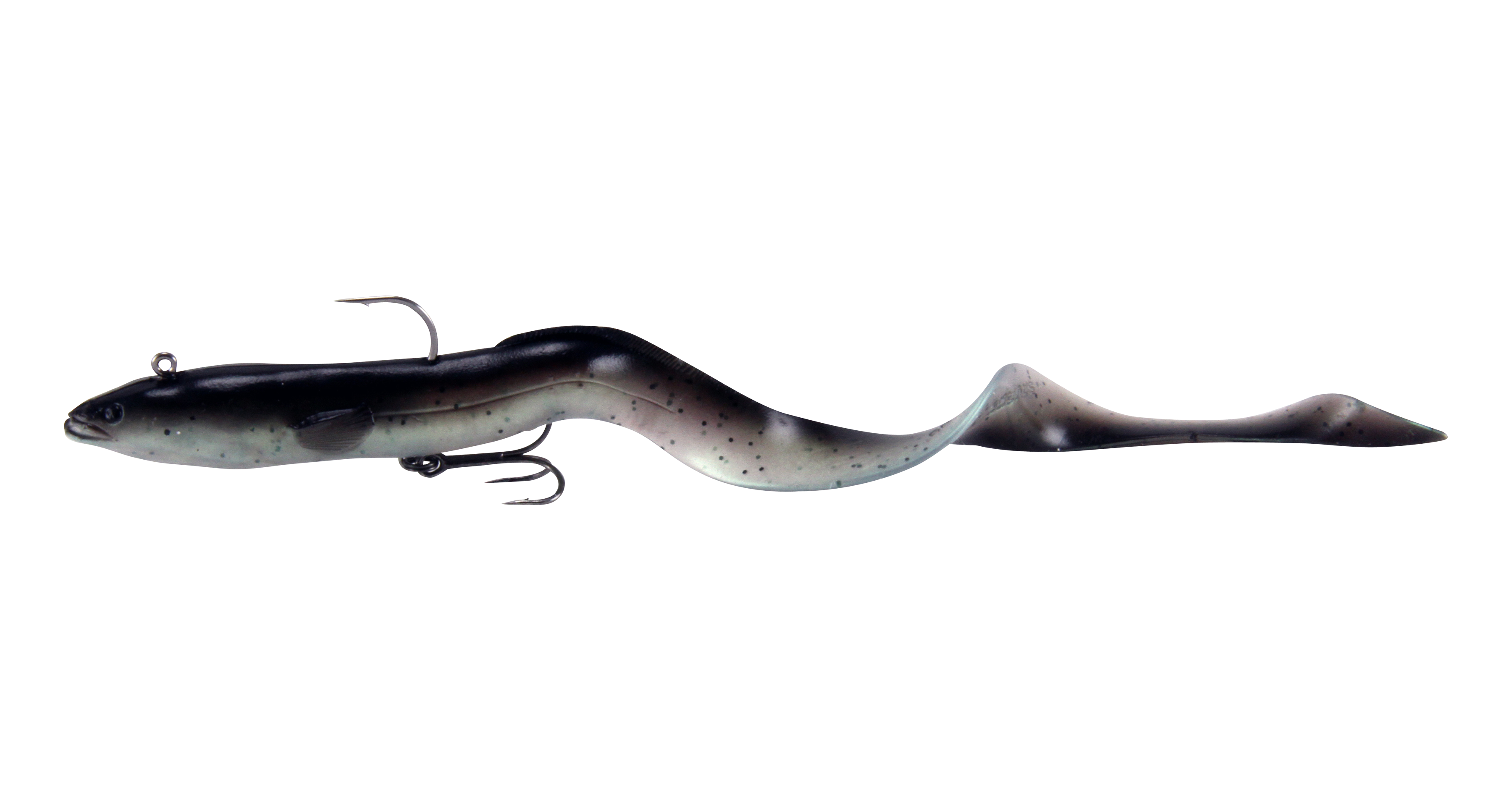 Eel PNG Black And White - 144805