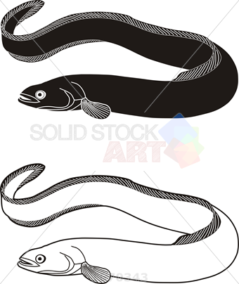 Eel PNG Black And White - 144803