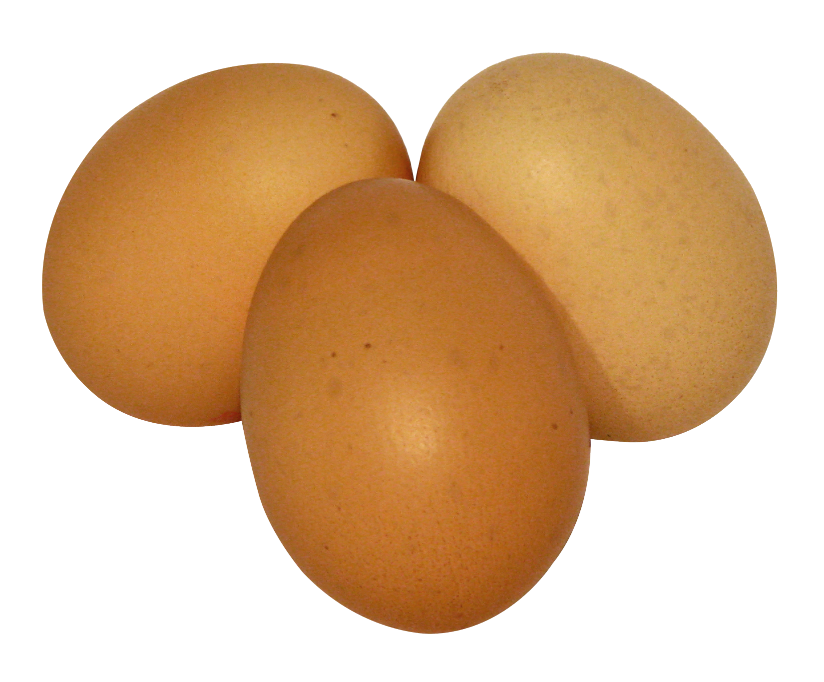 Egg PNG - 18573