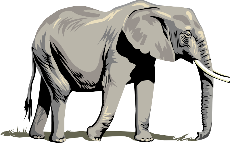 Elephant PNG HD Outline - 157164