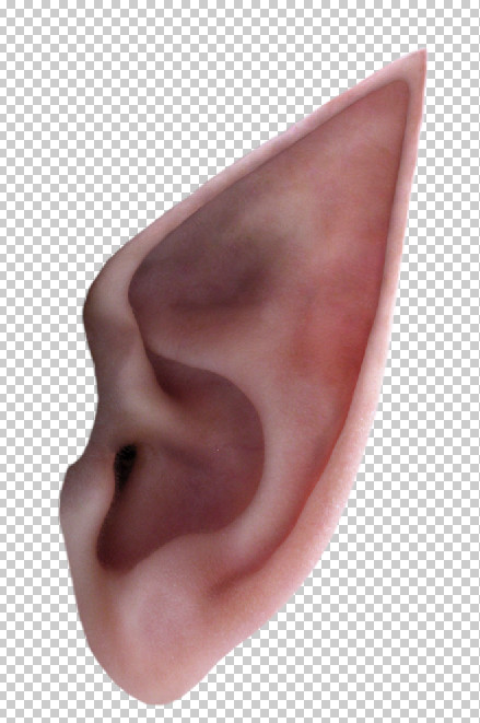 FAIRY EARS with bones by vlad