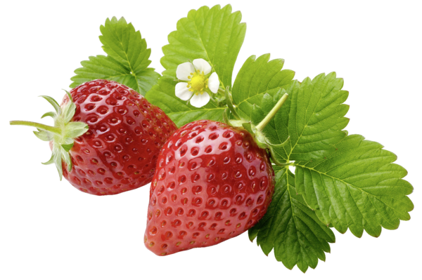 Erdbeeren PNG - 150236