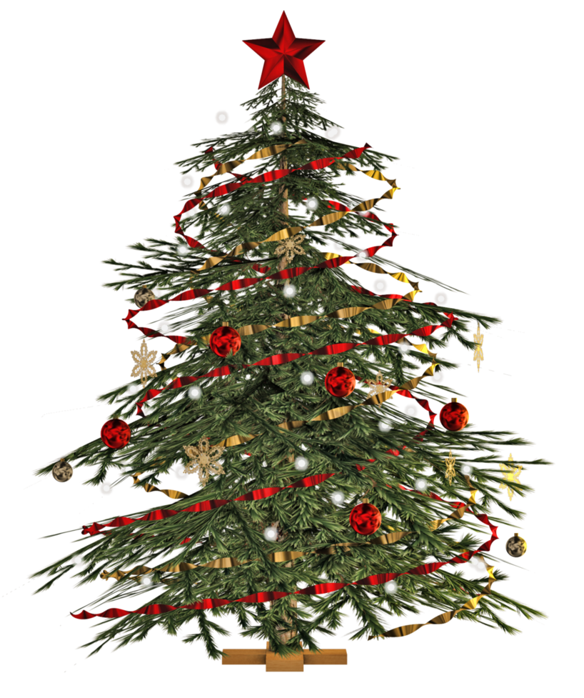 Christmas tree, Christmas, Tr