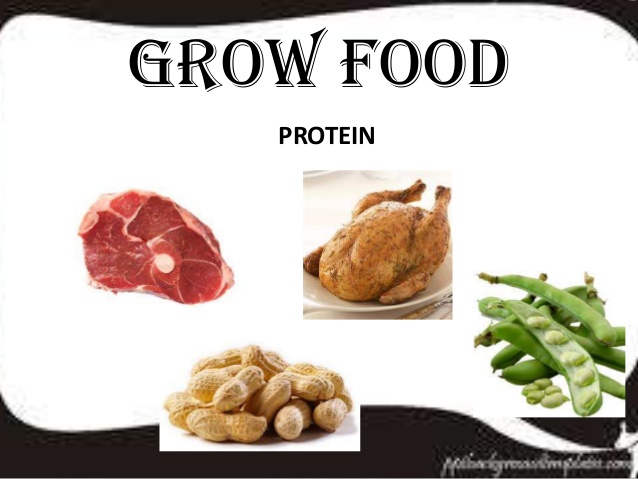 Examples Of Grow Foods PNG - 157223