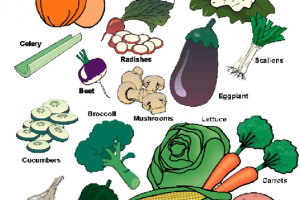 Examples Of Grow Foods PNG - 157221