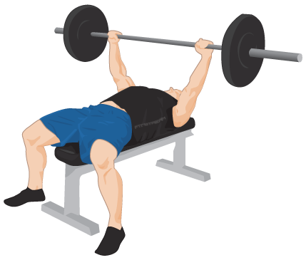 Exercise Bench PNG - 13384