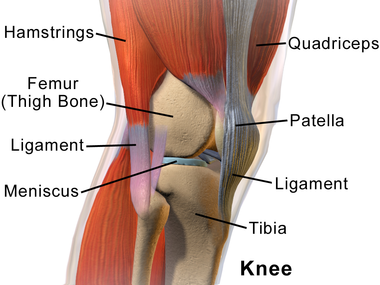 This knee brace is designed f