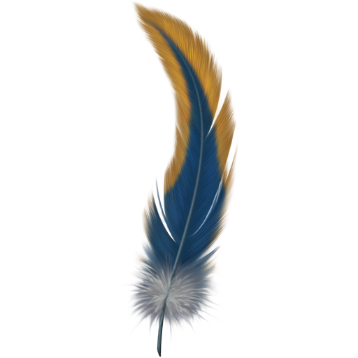 Feather HD PNG - 90469