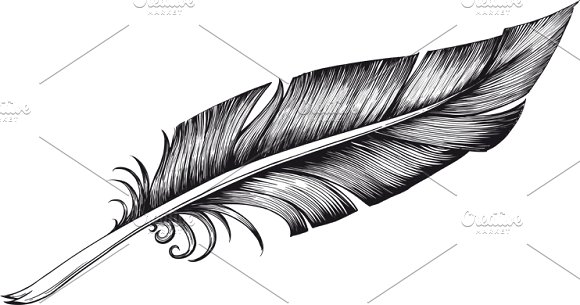 Feather Pen PNG Black And Whi