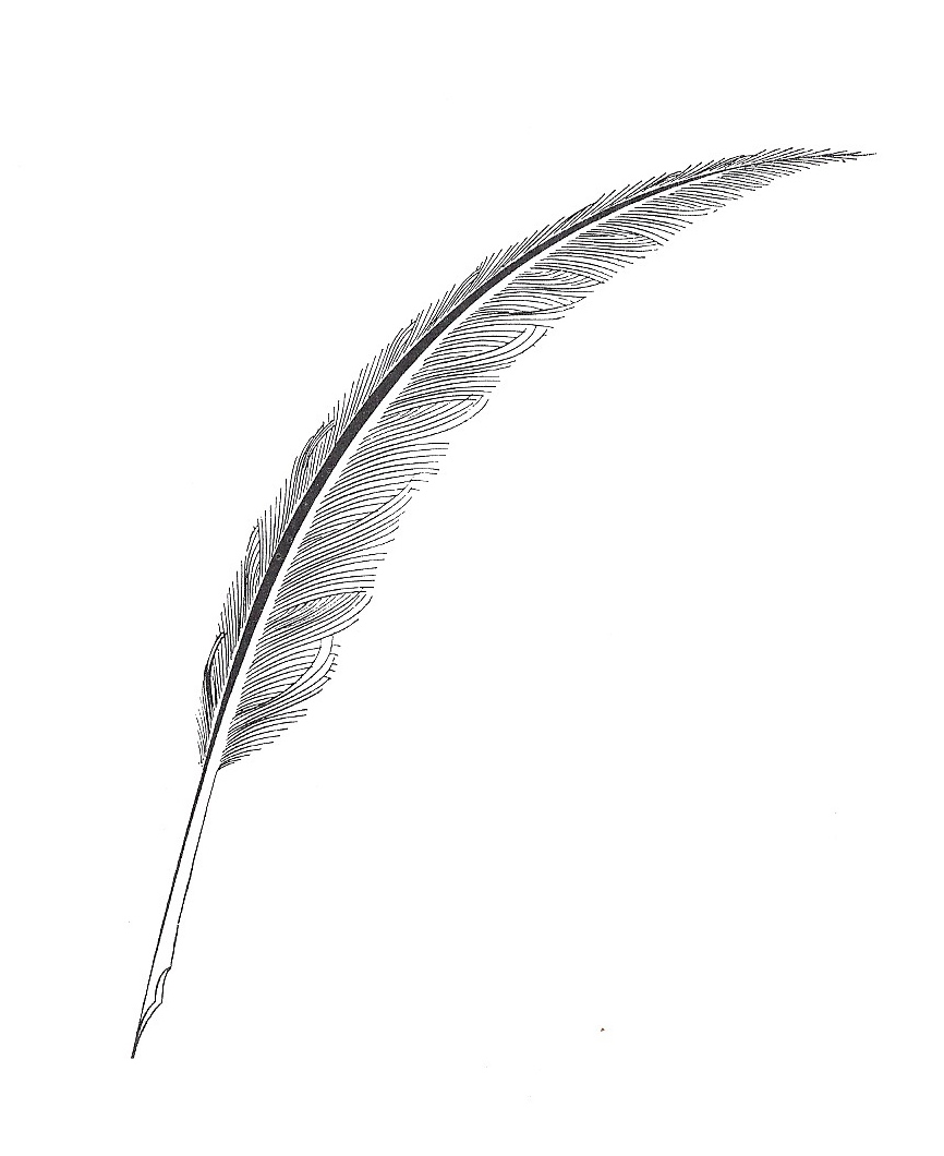 Feather Pen PNG Black And White - 166387