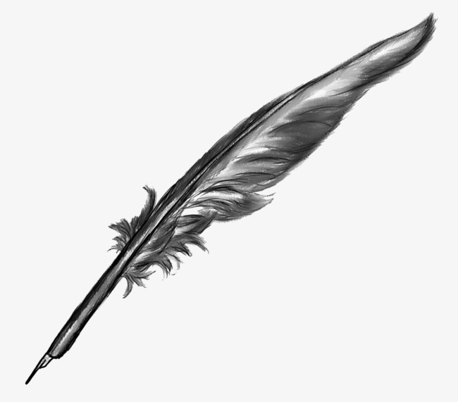 feather, feather pen, ink pen