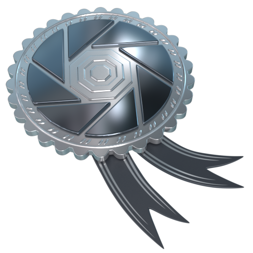 Silver PNG - 744