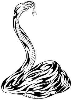 Snake Tattoo PNG - 3592