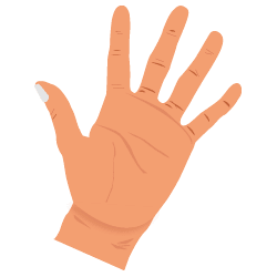 Fingers PNG - 5355