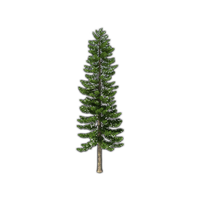 Firtree HD PNG - 91590