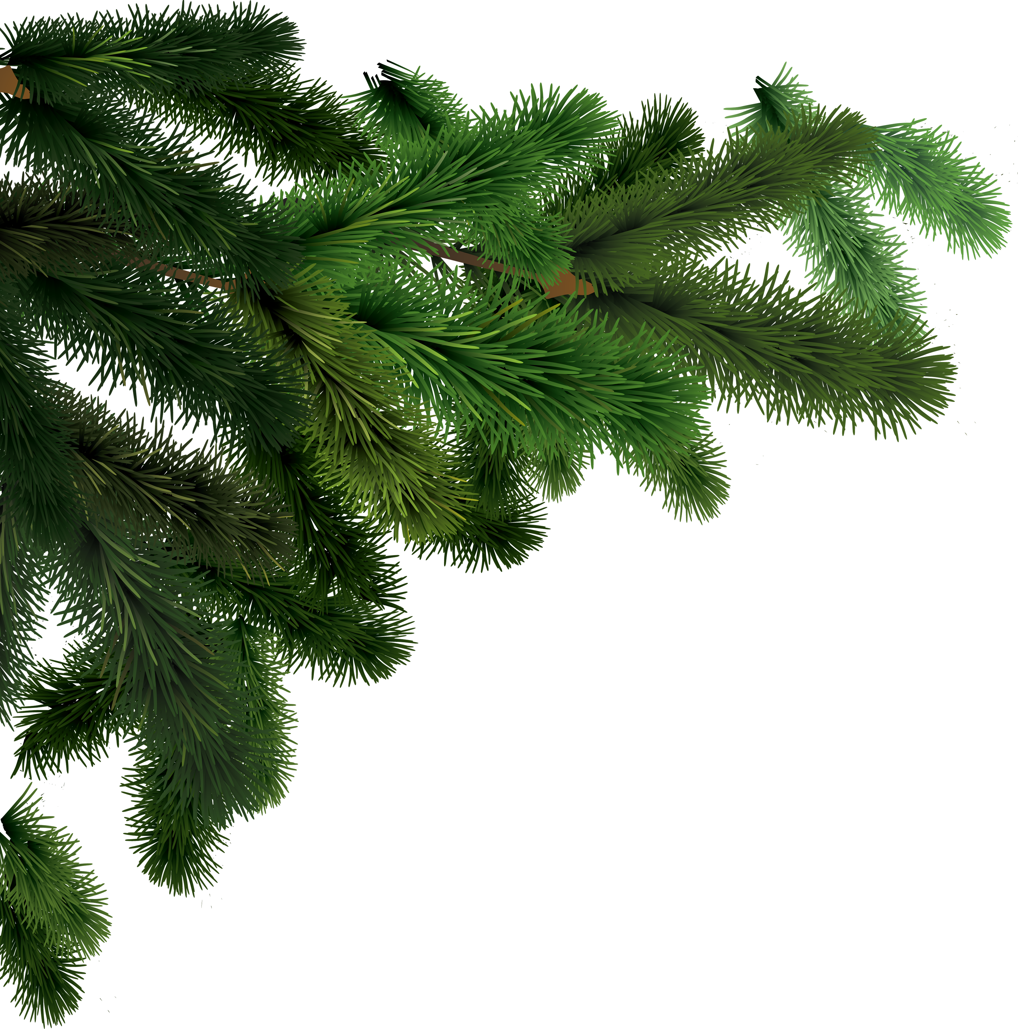 Firtree HD PNG - 91591