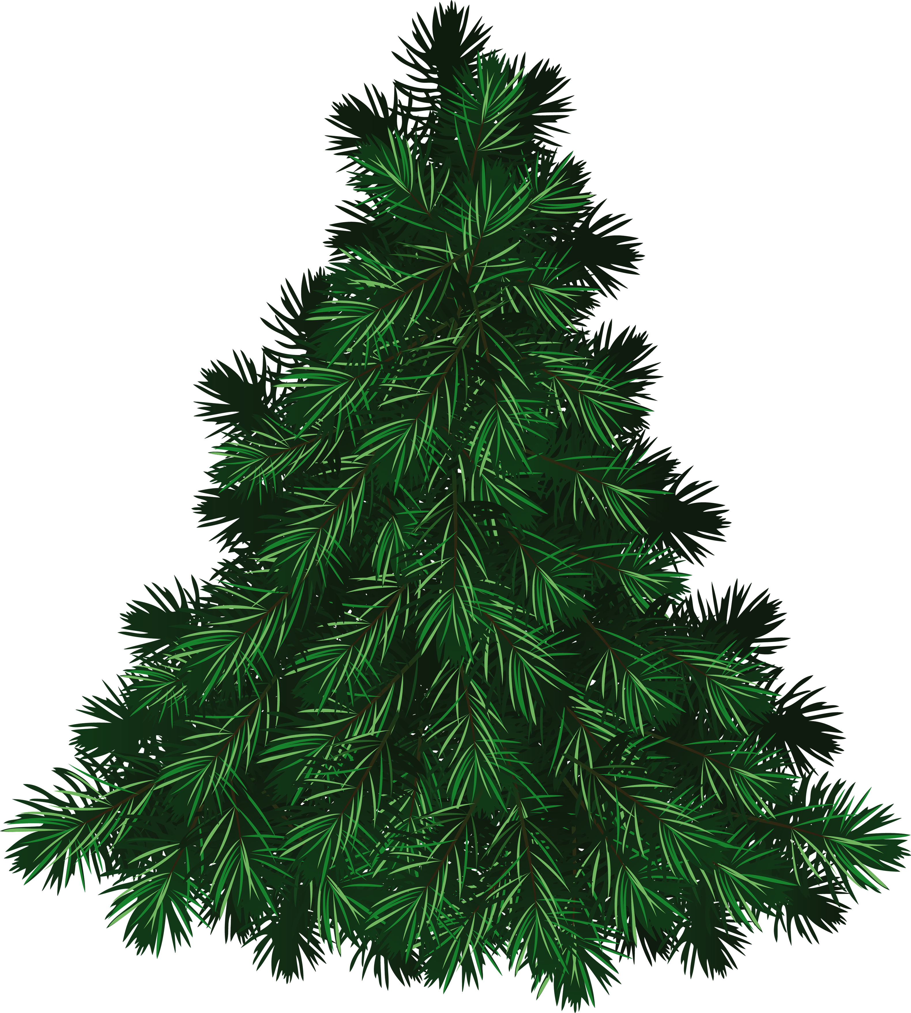 Firtree HD PNG - 91589