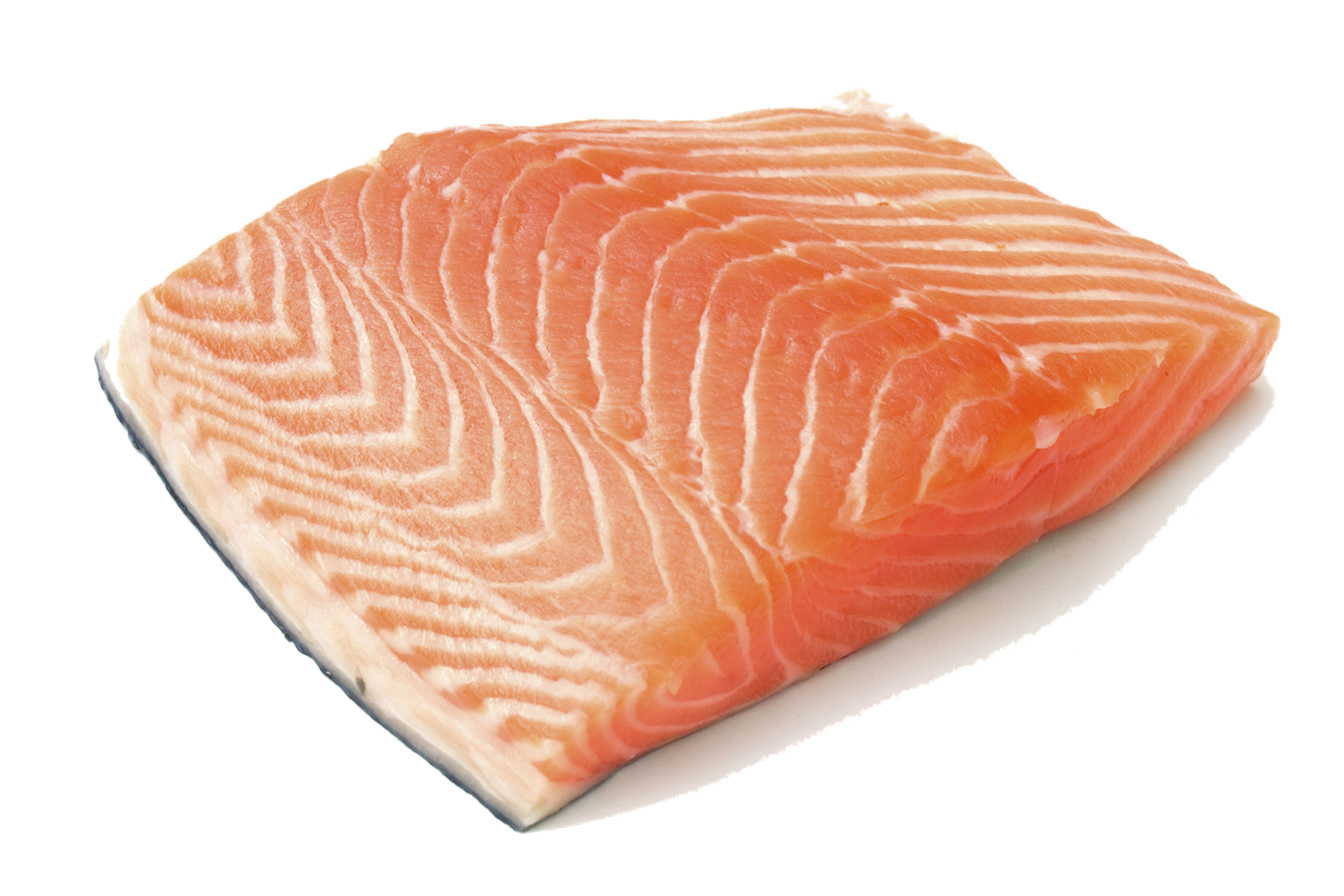 fresh salmon, Yellow, Meat, F